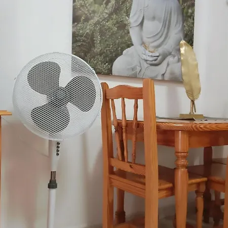 Siona E Nieta Apartamento